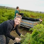 Domaine De L'envolée Hébergement de vacances