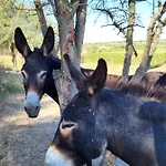 Domaine De L'envolée Hébergement de vacances *