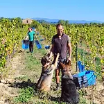 Hébergement de vacances Domaine De L'envolée