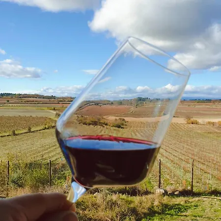 Domaine De L'envolée