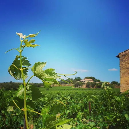 Сasa de vacaciones Domaine De L'envolée Tourbes