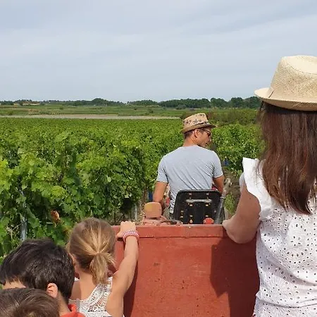 Domaine De L'envolee * Tourbes