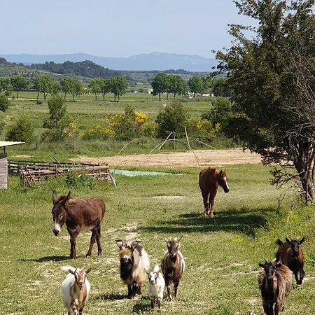 Domaine De L'envolée Сasa de vacaciones Tourbes