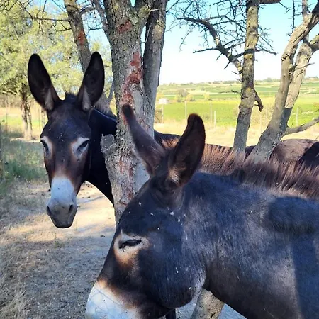 Domaine De L'envolee Дом отдыха *