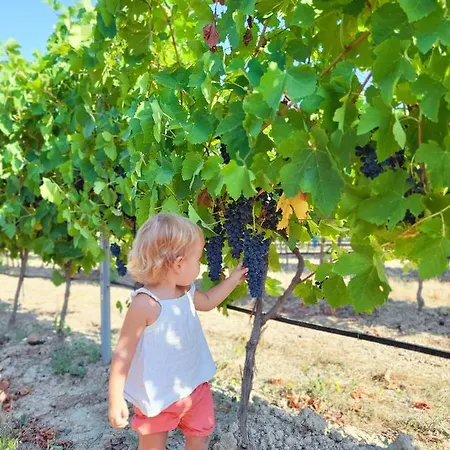 Domaine De L'envolee