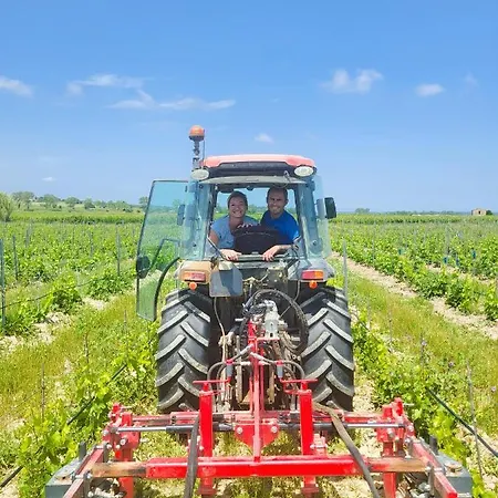 Domaine De L'envolee * Tourbes