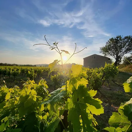 Domaine De L'envolee * Tourbes