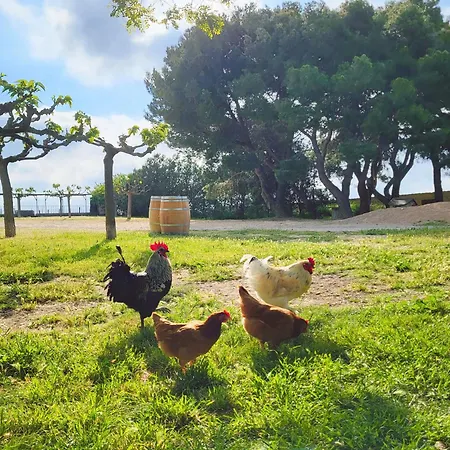 Сasa de vacaciones Domaine De L'envolée *