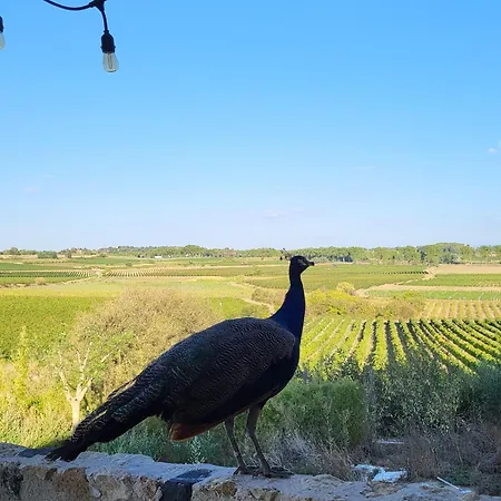 Domaine De L'envolée Сasa de vacaciones Tourbes