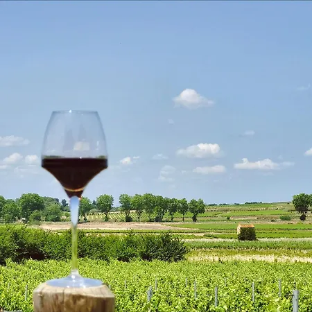 Domaine De L'envolée *