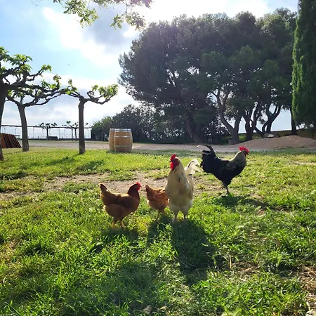 Domaine De L'envolée Сasa de vacaciones