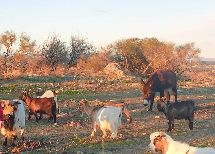 Domaine De L'envolée