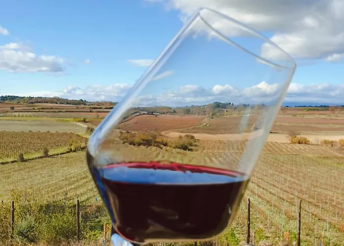 Domaine De L'envolée