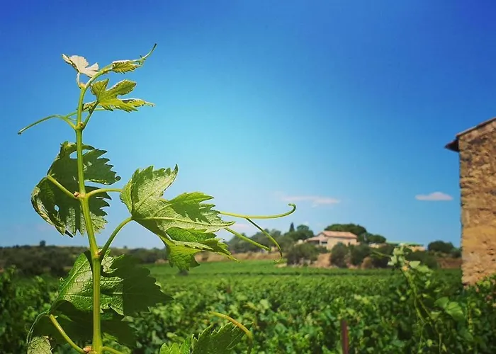Сasa de vacaciones Domaine De L'envolée Tourbes