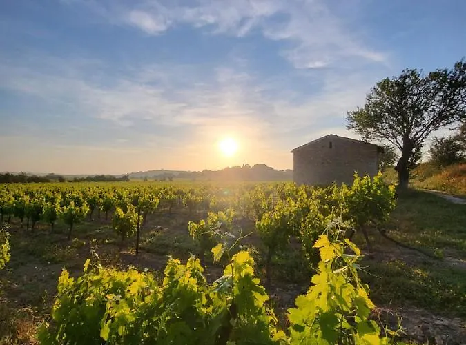 Σπίτι διακοπών Domaine De L'envolee *