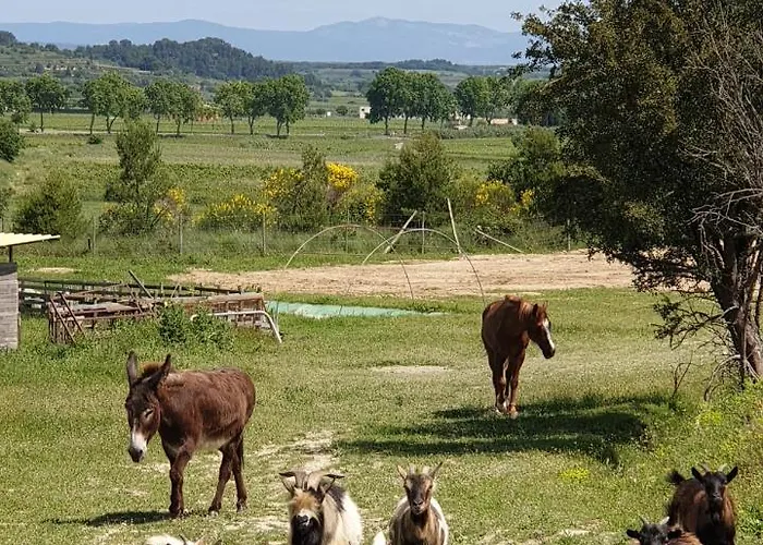 Domaine De L'envolée Сasa de vacaciones Tourbes