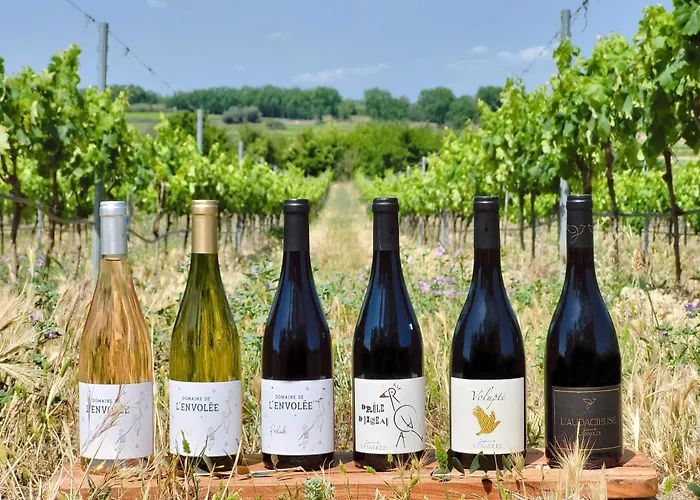 Domaine De L'envolée *
